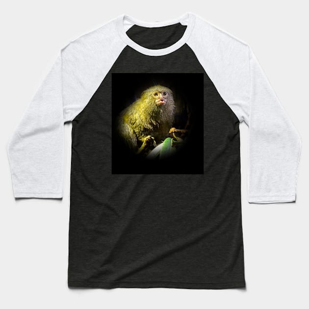 Marmoset Baseball T-Shirt by Guardi